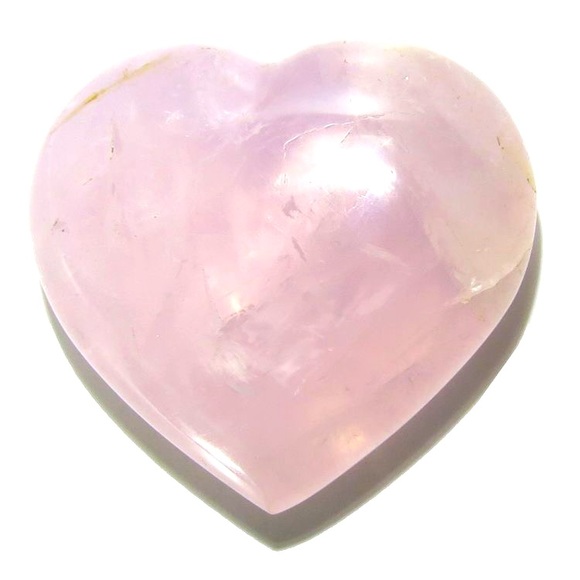 Accessories - meet the posher: neocultured